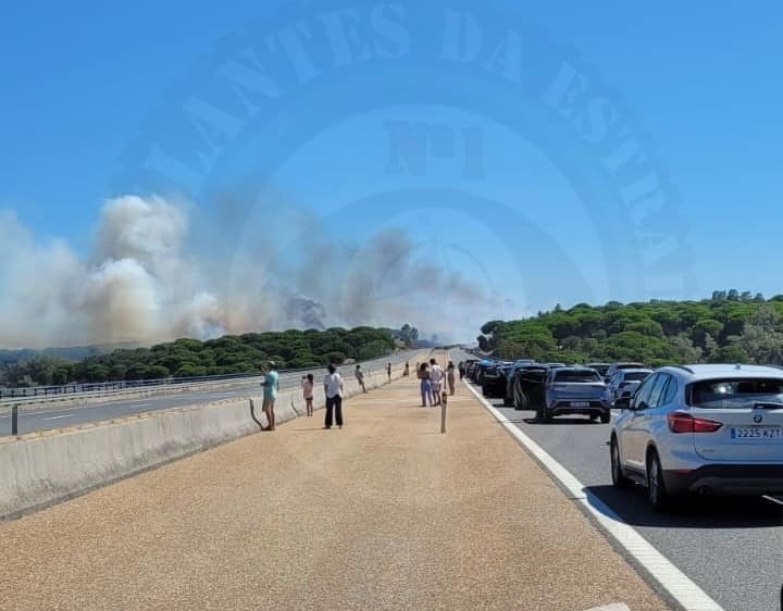 Vigilantes da Estrada