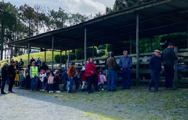 Mercado de gado regressou a São Teotónio
