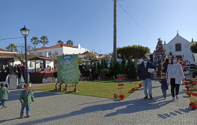Porto Covo está a receber o mercado de Natal “Floresta Encantada”