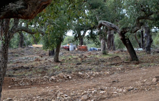 Quercus critica pressão de construções no montado de sobro da Serra de Grândola