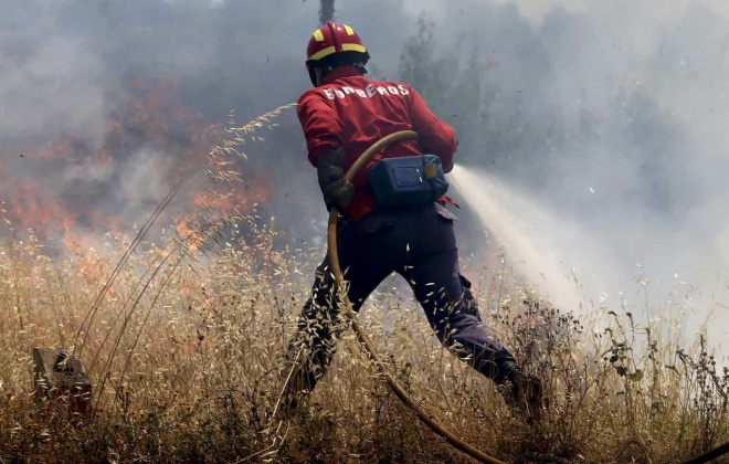 Liga dos Bombeiros alerta para número "anómalo" de incêndios