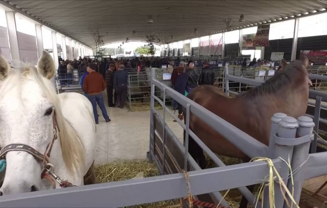 Feira de Garvão regressa de 6 a 8 de maio de 2022