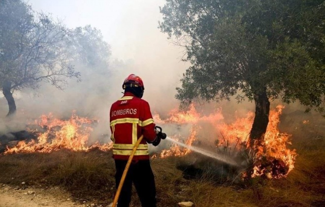 Meios de combate a incêndios reforçados no Litoral Alentejano