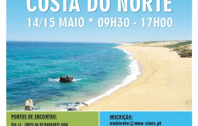 Câmara de Sines promove ação de limpeza da praia da Costa do Norte
