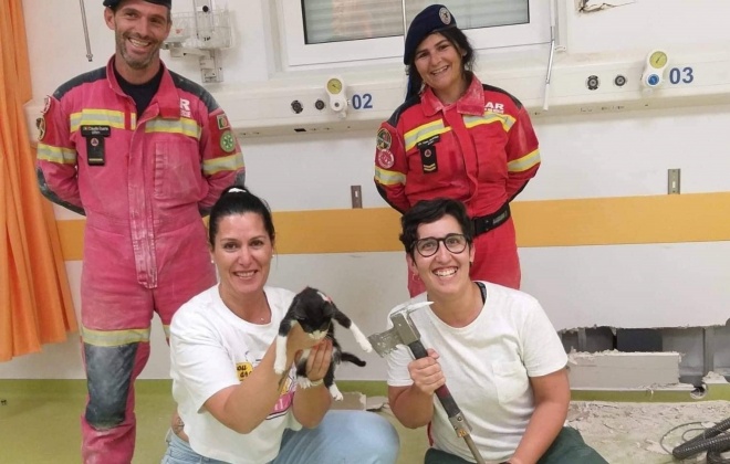 SARTEAM salva gato no Hospital do Litoral Alentejano