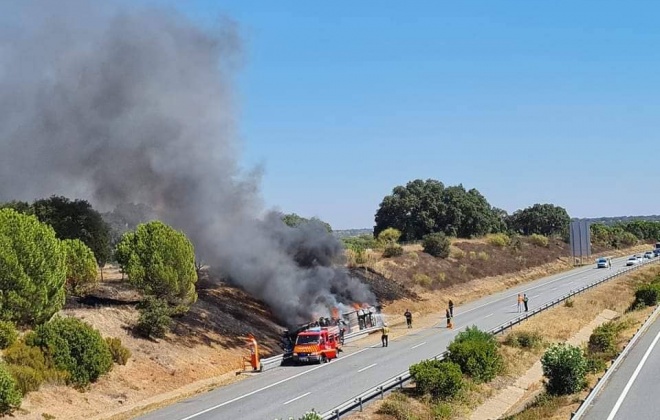 Camião capota e incendeia-se na A2 perto de Grândola