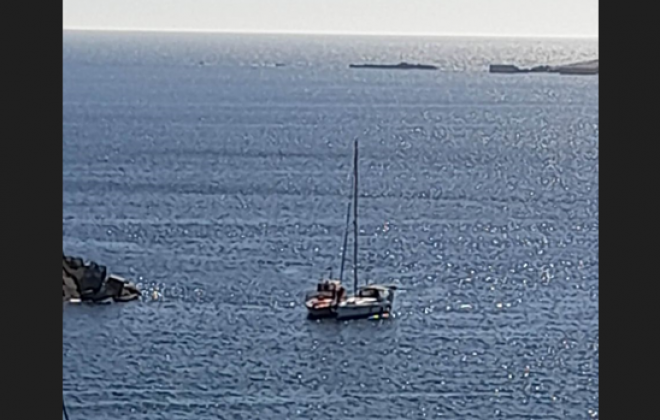 Grupo de orcas ataca embarcações ao largo de Sines