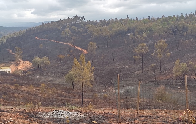 Incêndio em São Teotónio já foi extinto