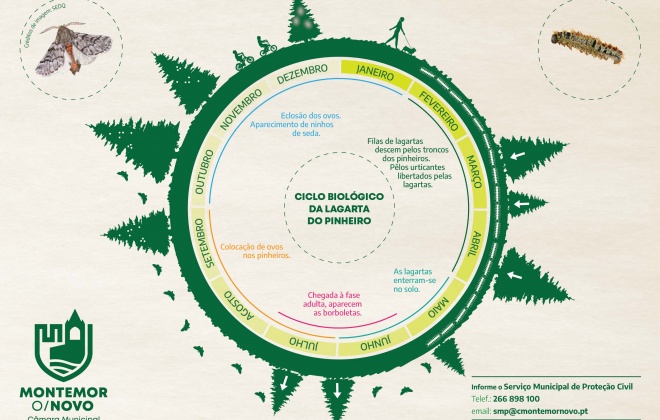 Município de Montemor-o-Novo efetua tratamento preventivo para a lagarta do pinheiro