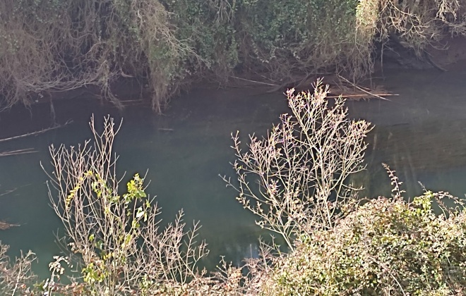 Policia Judiciária investiga o aparecimento de um corpo no rio Mira