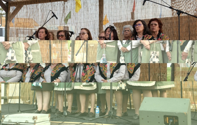 Grupo Coral Feminino de Amoreiras-Gare celebra 25 anos neste sábado
