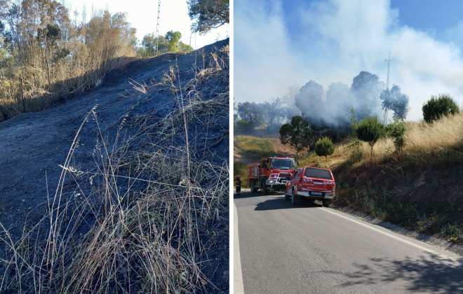 Incêndio consumiu área de mato em Cercal do Alentejo