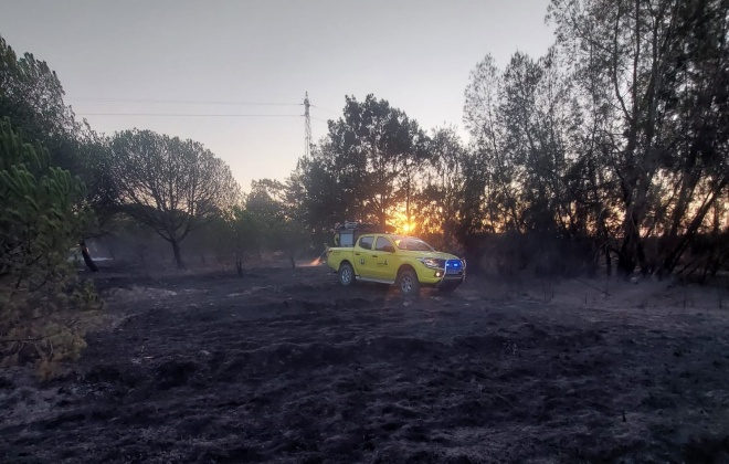 Incêndio consumiu área florestal na freguesia de São Teotónio em Odemira