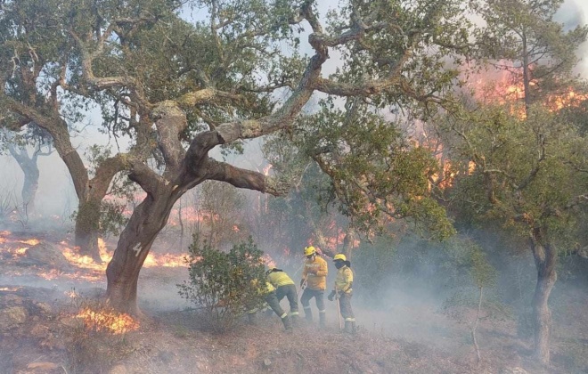 Sapadores Florestais de Sines e Santiago do Cacém combatem incêndio em Odemira