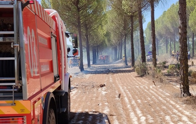 Bombeiros combateram incêndio em Melides no concelho de Grândola