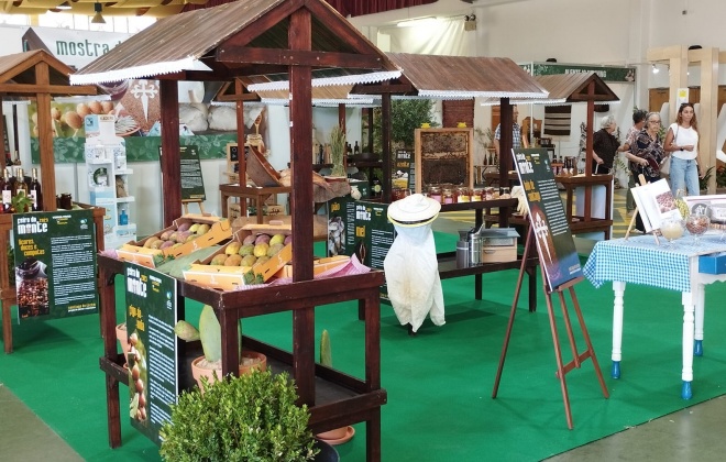 Feira do Monte termina este domingo em Santiago do Cacém