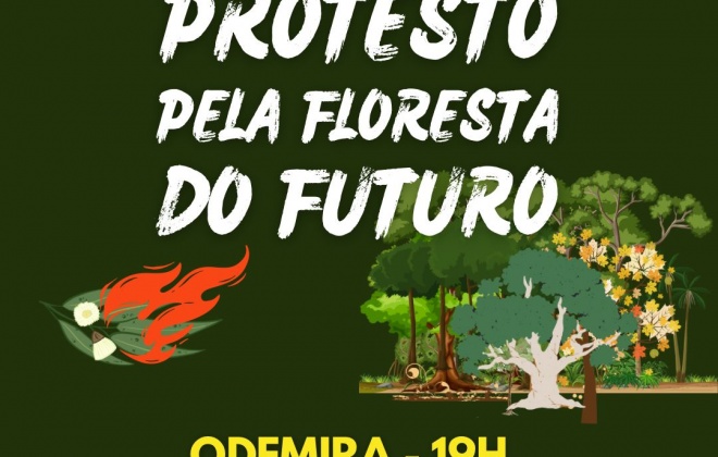 População protesta este domingo em Odemira “pela floresta do futuro”