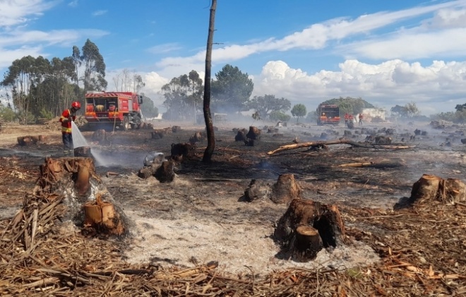 Bombeiros combateram incêndio perto de São Domingos, Santiago do Cacém