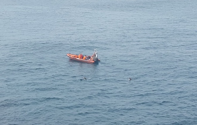 Pescador morre após queda de falésia na Carrapateira em Aljezur