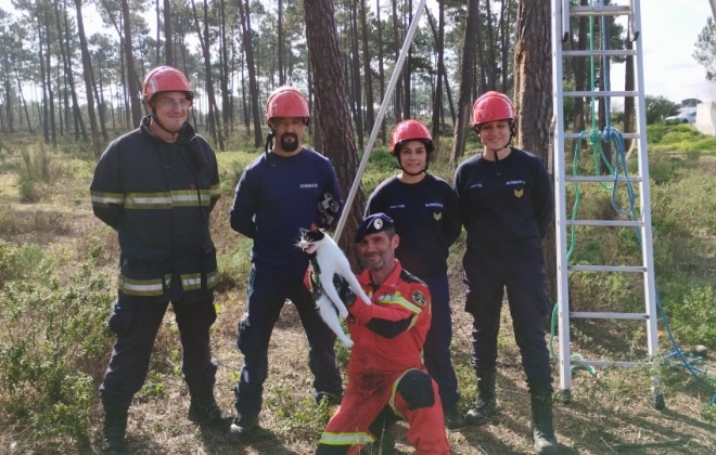 Bombeiros de Sines e SAR TEAM resgatam gato em Vila Nova de Santo André