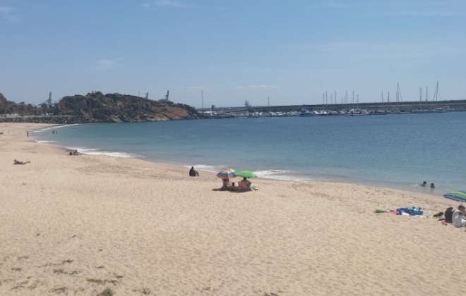 Zambujeira do Mar e Praia Vasco da Gama em Sines sem Bandeira Azul em 2024