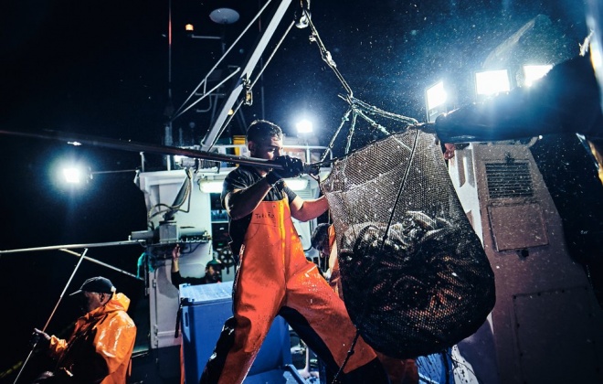 Centro de Artes de Sines recebe a exposição "Sardinha, o Sem Fim da Pesca do Cerco"