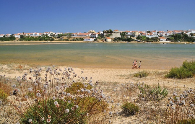 Câmara de Odemira promove ação de limpeza de praias na freguesia de Vila Nova de Milfontes