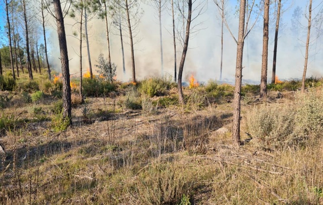 Incêndio consumiu área de mato em Melides