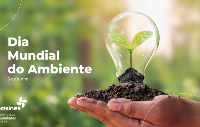 Associados COMSINES assinalam Dia Mundial do Ambiente