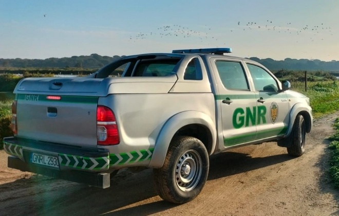 GNR deteve homem de 64 anos por tráfico de droga em Ferreira do Alentejo