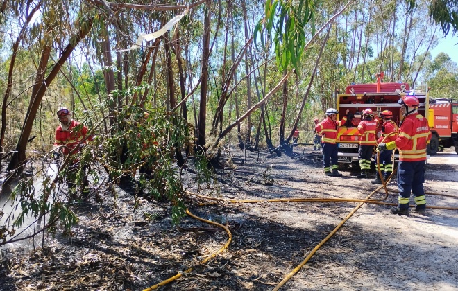 Incêndio está a consumir uma área de mato no Paiol em Sines