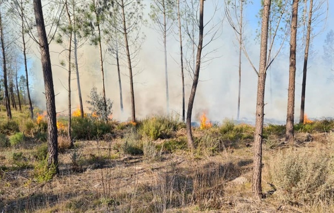 Está extinto o incêndio que deflagrou esta tarde em Pinheiro da Cruz