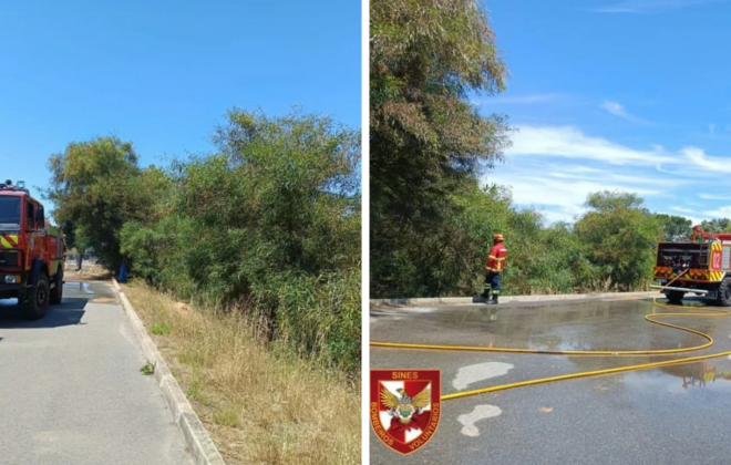 Bombeiros combateram incêndio em Canavial na ZIL 2 em Sines