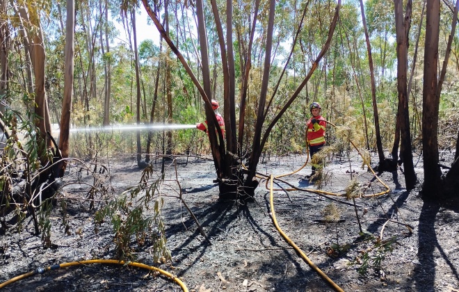 Alentejo Litoral reforça dispositivo de combate a incêndios a partir desta segunda-feira