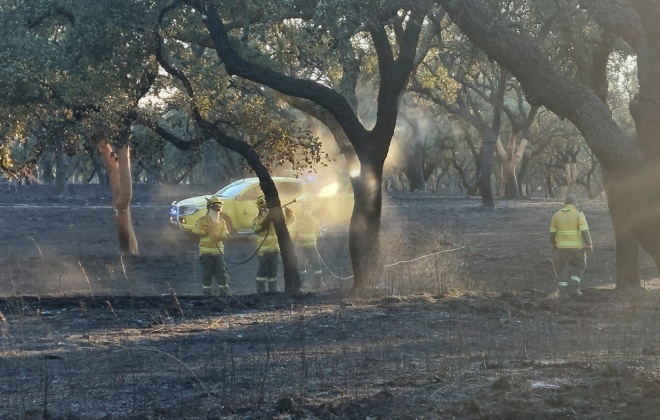 Já estão dominados os dois incêndios em Alcácer do Sal