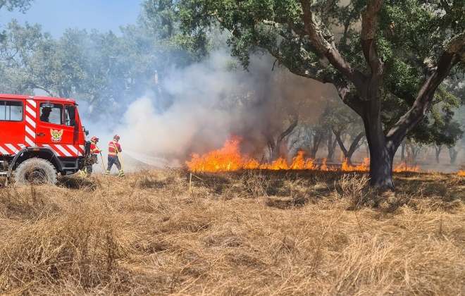 Incêndio Rural consumiu uma vasta área de mato no concelho de Alcácer do Sal