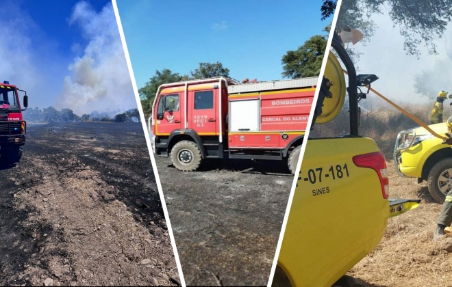 Incêndio que deflagrou perto de São Domingos já está dominado