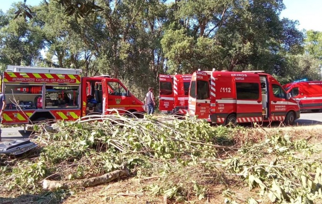 Despiste de viatura da GNR provoca três feridos perto de Campo Redondo no concelho de Odemira