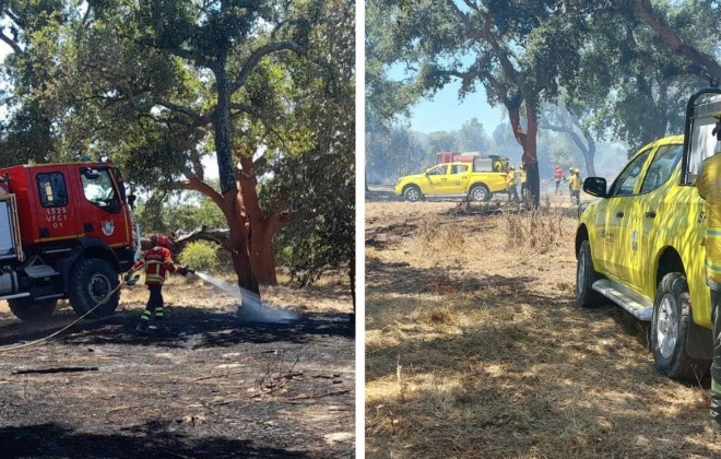 Bombeiros combateram incêndio em Arealão no concelho de Santiago do Cacém