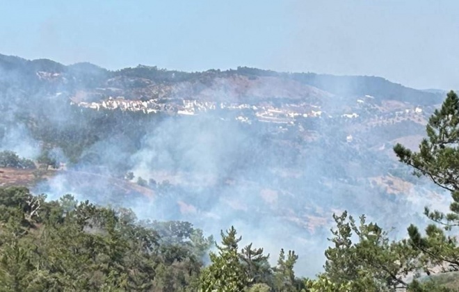 Está dominado o incêndio que deflagrou esta tarde no concelho de Odemira