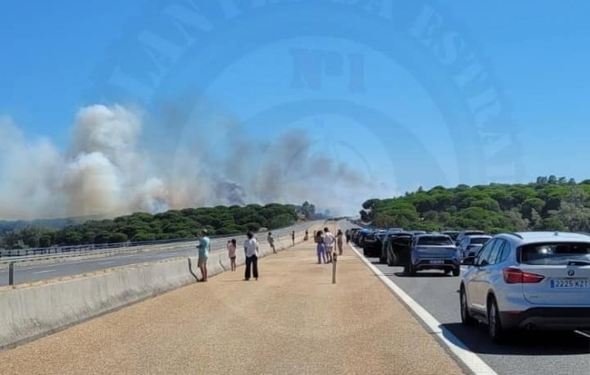 Autoestrada do Sul está cortada nos dois sentidos em Alcácer do Sal devido a incêndio