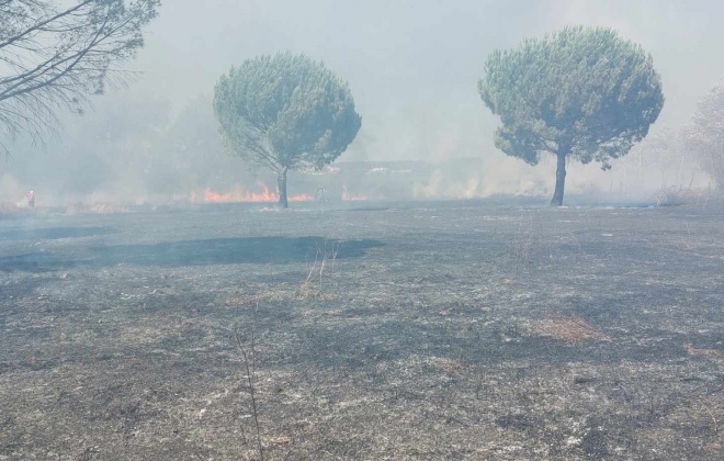 Está dominado o incêndio que obrigou ao corte da A2 em Alcácer do Sal