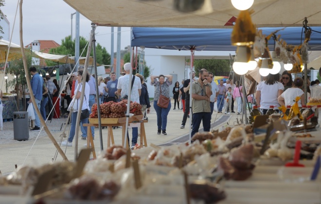 Feira Nova de Outubro de Alcácer do Sal terminou com “balanço positivo”