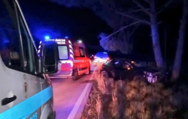 Despiste provoca dois feridos no concelho de Alcácer do Sal