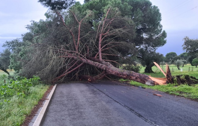 Tempestade Jane provoca várias ocorrências no Litoral Alentejano