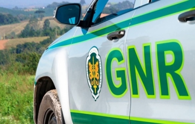 Ficaram em prisão preventiva os quatro suspeitos de furtos em Alcácer do Sal