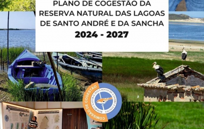 Aprovado o Plano de Cogestão da Reserva Natural das Lagoas de Santo André e da Sancha