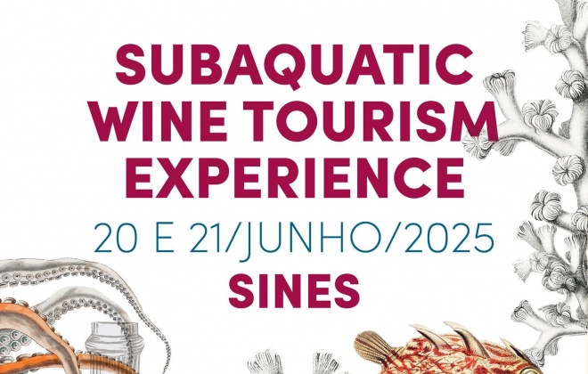 Enoturismo subaquático promovido em Sines nesta sexta-feira e sábado
