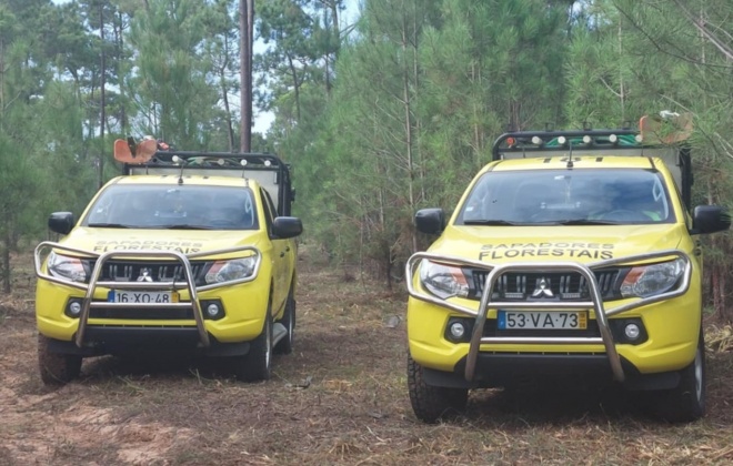 Sapadores florestais da AMFALA reforçam dispositivo de combate a incêndios