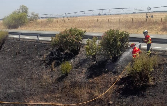 Bombeiros combateram incêndio na A2 no concelho de Ferreira do Alentejo